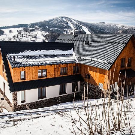 Penzion Kozel - Herlikovice Krkonose Vrchlabí المظهر الخارجي الصورة