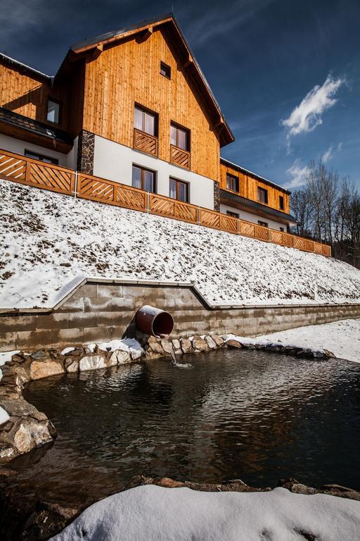 Penzion Kozel - Herlikovice Krkonose Vrchlabí المظهر الخارجي الصورة