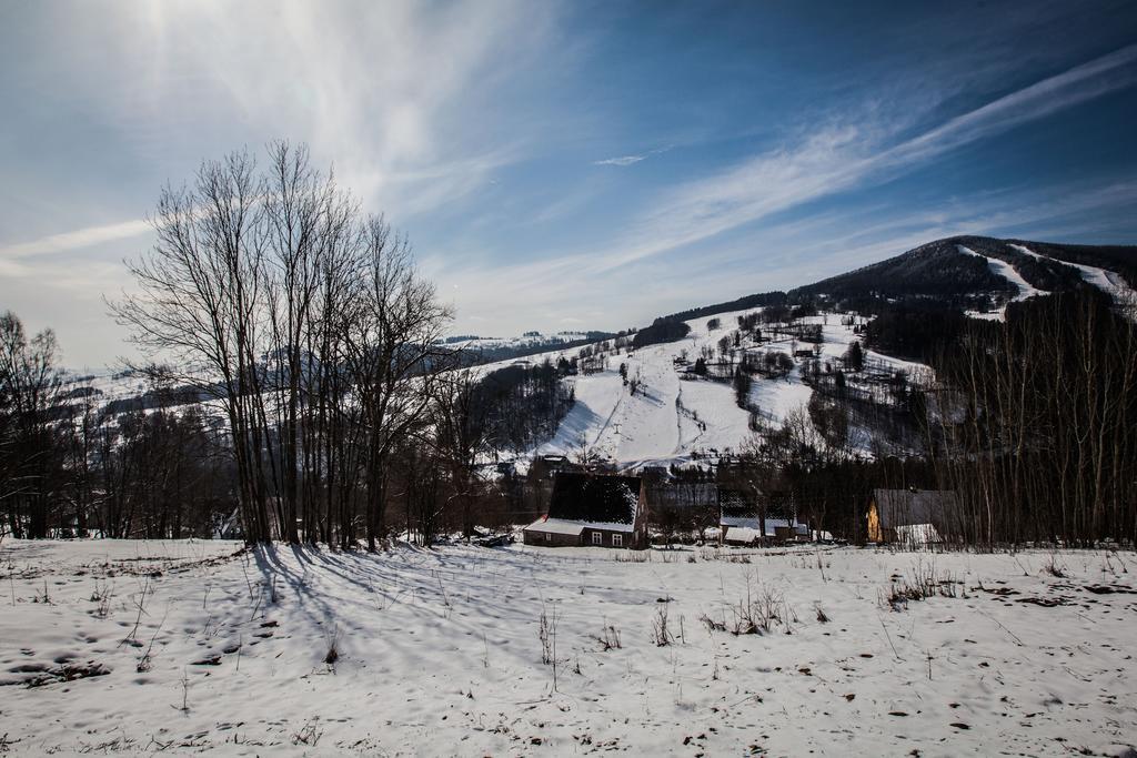 Penzion Kozel - Herlikovice Krkonose Vrchlabí المظهر الخارجي الصورة